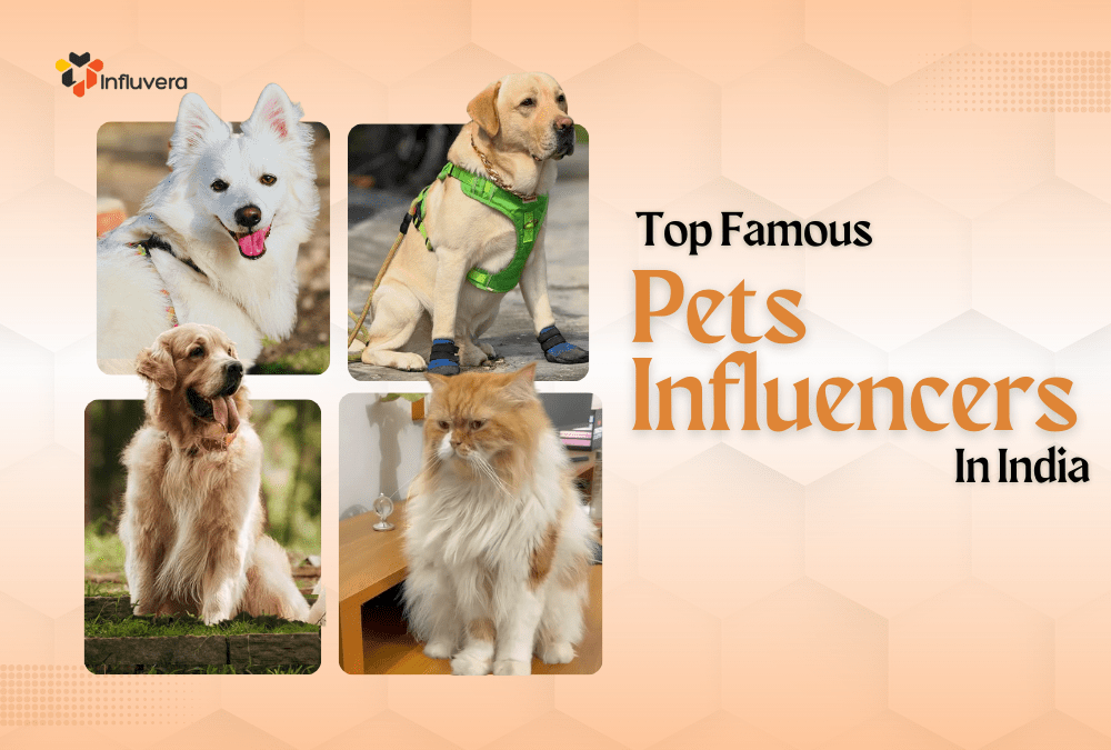 pet influencers