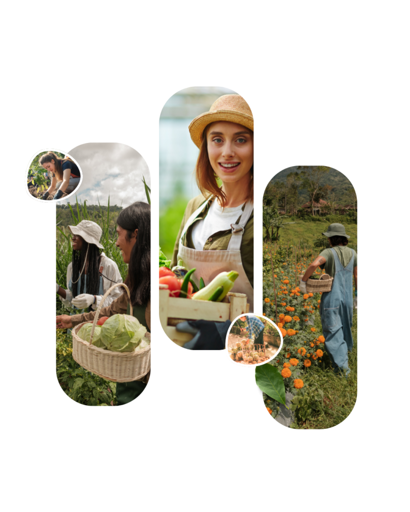 sustainability influencers